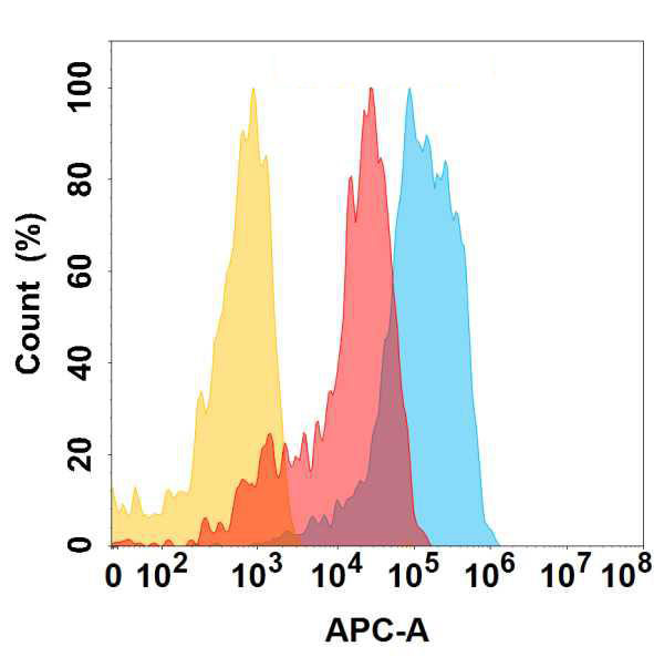 Anti-CD98 antibody(2H8); IgG1 Chimeric mAb