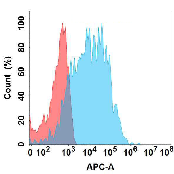 Anti-SEZ6 antibody(31A10), IgG1 Chimeric mAb