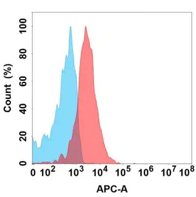 Anti-FLT3 antibody(19A5), IgG1 Chimeric mAb