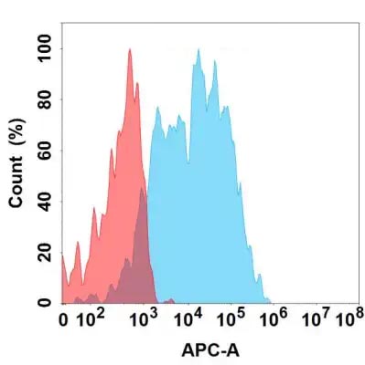 Anti-NCR1 antibody(2C10), IgG1 Chimeric mAb