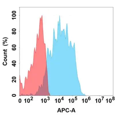 Anti-TIM-1 antibody(1G3), IgG1 Chimeric mAb