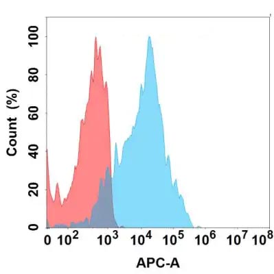 Anti-CD205 antibody(1D4), IgG1 Chimeric mAb