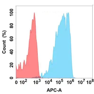 Anti-ANPEP antibody(26H2), IgG1 Chimeric mAb