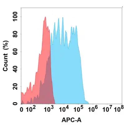 Anti-GPNMB antibody(11G4), IgG1 Chimeric mAb