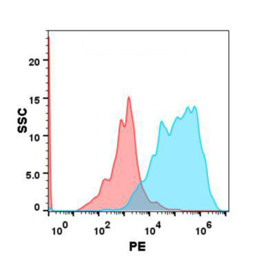 PE-conjugated Anti-GPRC5D antibody(DM91); Rabbit mAb