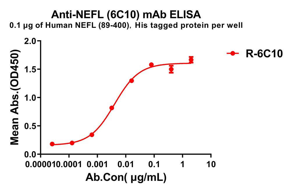 Anti-NEFL(89-400) antibody(6C10), Rabbit mAb