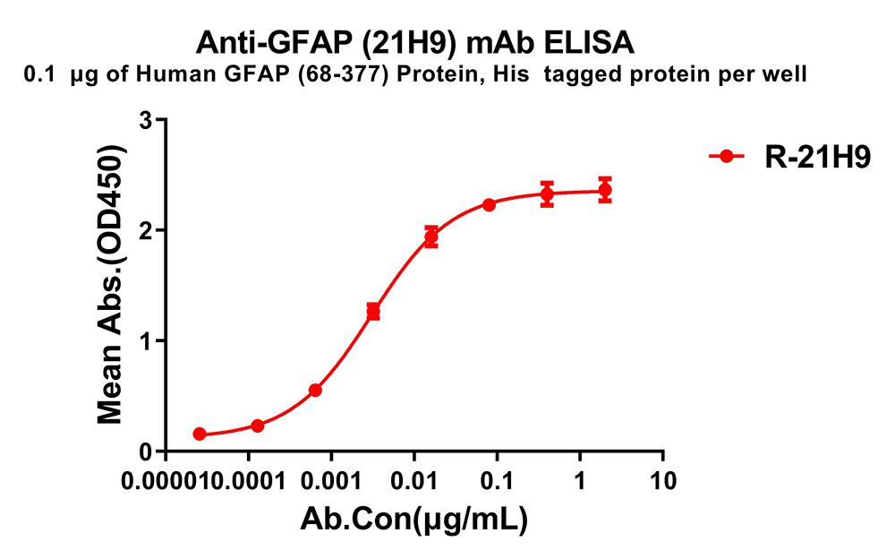 Anti-GFAP(68-377) antibody(21H9), Rabbit mAb