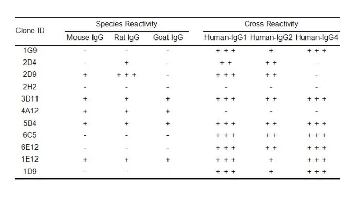 Anti-Human IgG antibody(1D9), Rabbit mAb