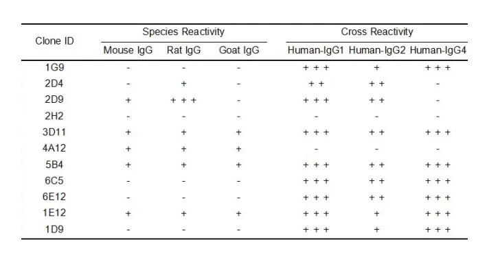 Anti-Human IgG antibody(2H2), Rabbit mAb