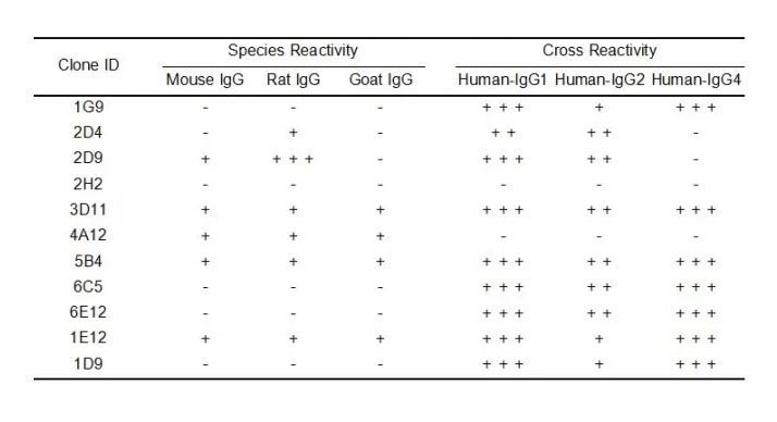 Anti-Human IgG antibody(1E12), Rabbit mAb