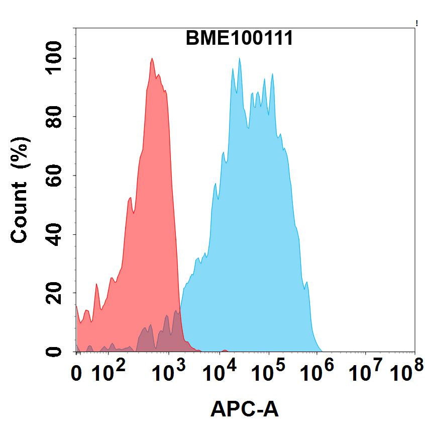 Anti-LRRC15(samrotamab biosimilar) mAb