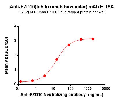 Anti-FZD10(tabituximab biosimilar) mAb