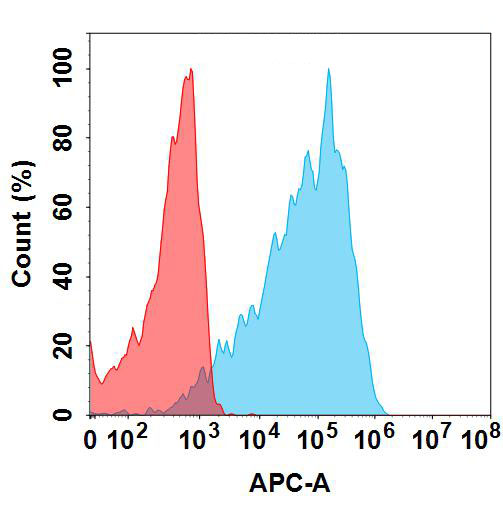 Anti-STEAP1(Vandortuzumab biosimilar) mAb