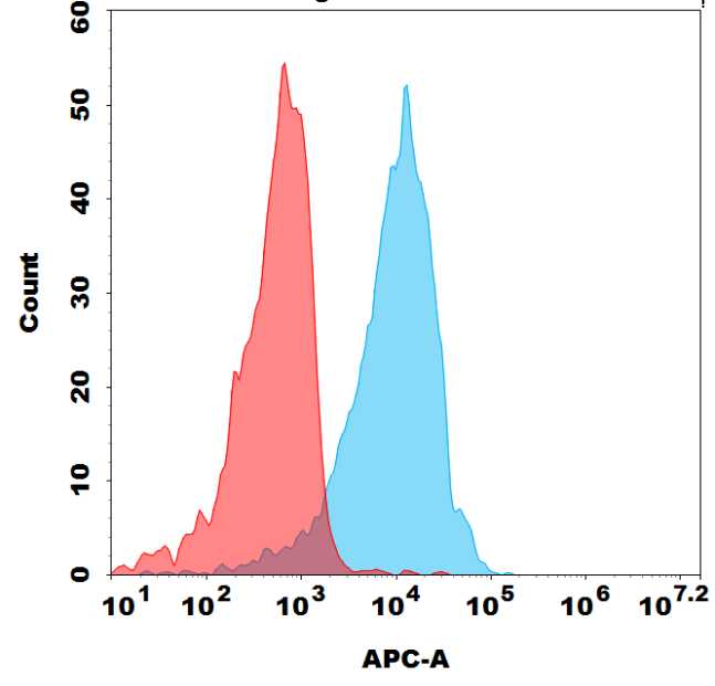 Biotinylated Anti-STEAP1(Vandortuzumab biosimilar) mAb