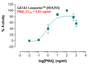 GATA3 Leeporter™ Luciferase Reporter-HEK293 Cell Line