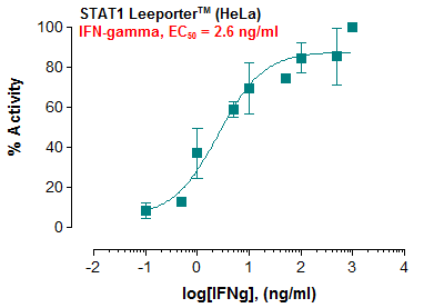 STAT1 Leeporter™ Luciferase Reporter-HeLa Cell Line