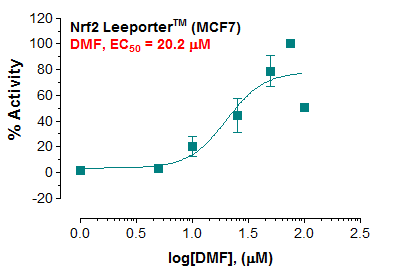 Nrf2 Leeporter™ Luciferase Reporter-MCF7 Cell Line