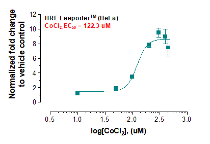 HRE Leeporter™ Luciferase Reporter-HeLa Cell Line