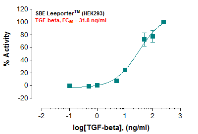 SBE Leeporter™ Luciferase Reporter-HEK293 Cell Line