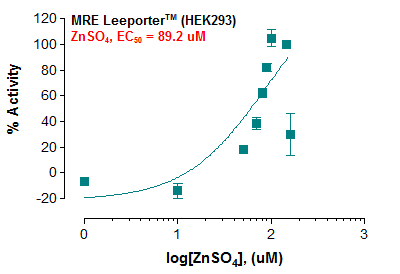 MRE Leeporter™ Luciferase Reporter HEK293 Cell Line