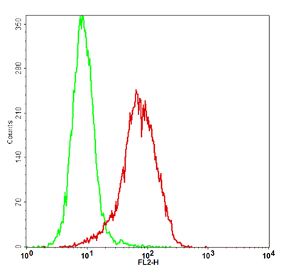 PD-L1 Stable Cell Line