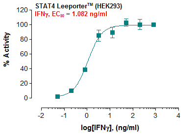 STAT4 Leeporter™ Luciferase Reporter-HEK293 Cell Line