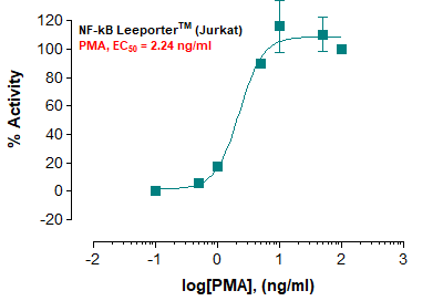 NF-kB Leeporter™ Luciferase Reporter-Jurkat Cell Line