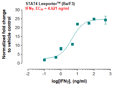 STAT4 Leeporter™ Luciferase Reporter-Ba/F3 Cell Line