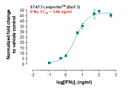 STAT3 Leeporter™ Luciferase Reporter-Ba/F3 Cell Line