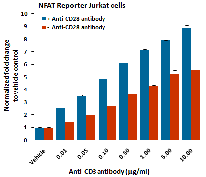 NFAT Leeporter™ Luciferase Reporter-Jurkat Cell Line