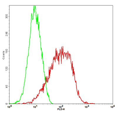 PD-L2 Stable Cell Line