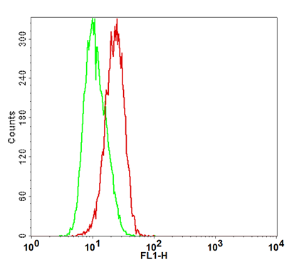 ICOS Stable Cell Line