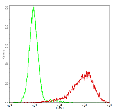 ICOSL Stable Cell Line