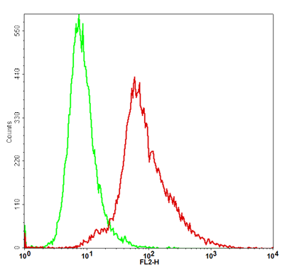 CTLA4 Stable Cell Line