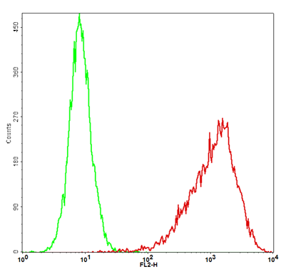 hB7-H4 Stable Cell Line