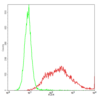 mB7-H4 Stable Cell Line