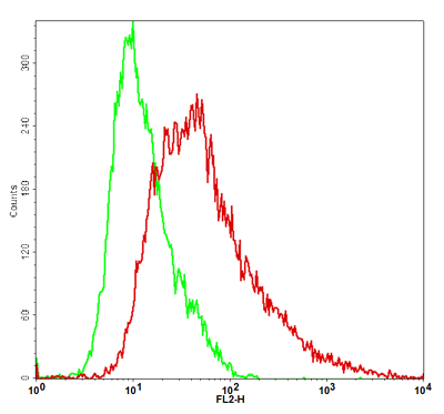 NKp30 Stable Cell Line