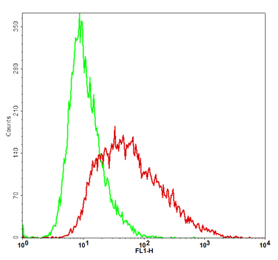 NKp46 Stable Cell Line