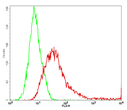 GPC3 Stable Cell Line-H