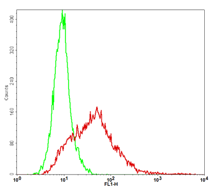 VISTA Stable Cell Line