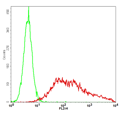 B7-H3 Stable Cell Line