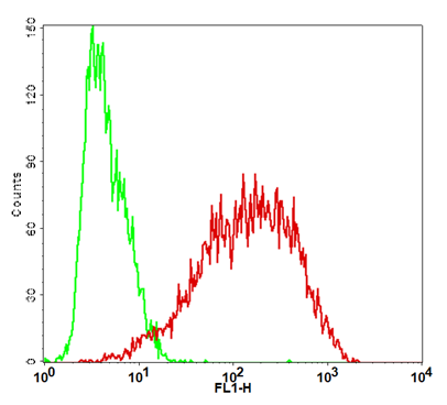 CD28 Stable Cell Line