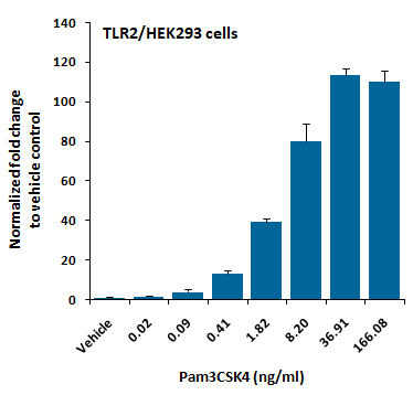 TLR2/HEK293 Stable Cell Line