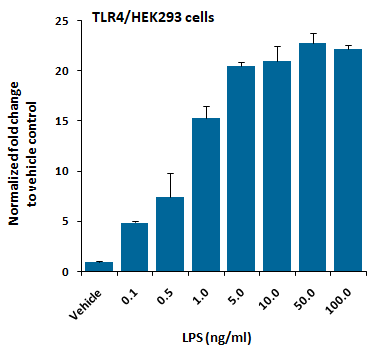 TLR4/HEK293 Stable Cell Line