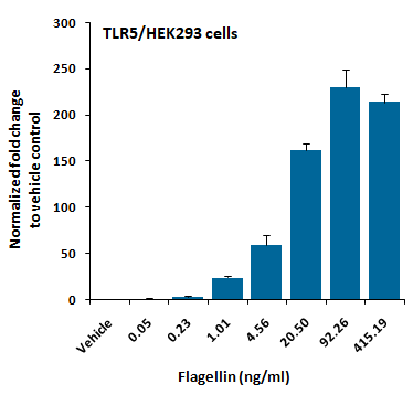 TLR5/HEK293 Stable Cell Line