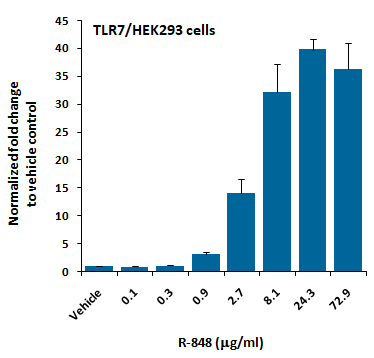 TLR7/HEK293 Stable Cell Line