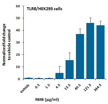 TLR8/HEK293 Stable Cell Line