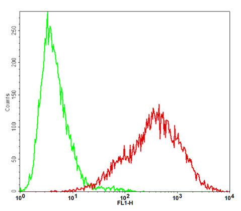 Claudin18.2/HEK293 Stable Cell Line