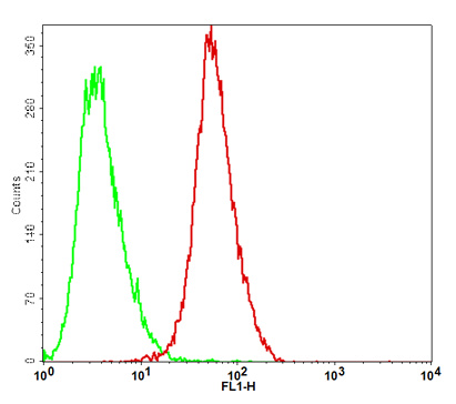 CD70/CHO-K1 Stable Cell Line