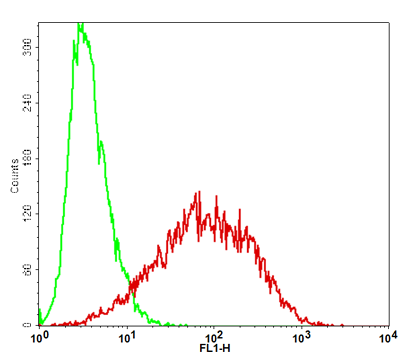 CD27/CHO-K1 Stable Cell Line